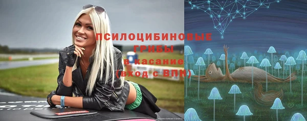 прущая мука Алексин