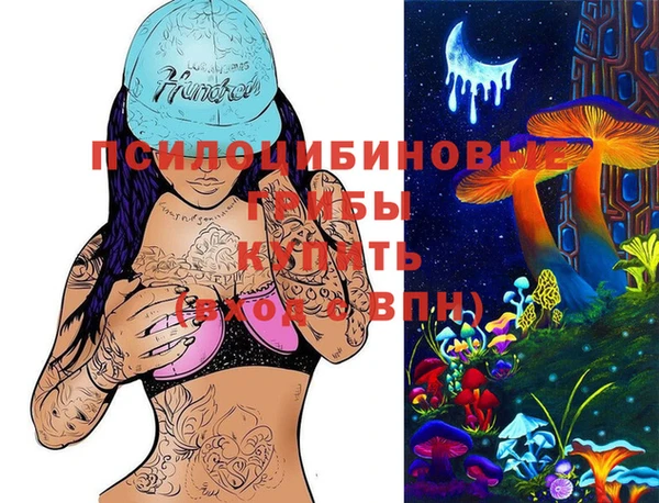 хмурый Строитель
