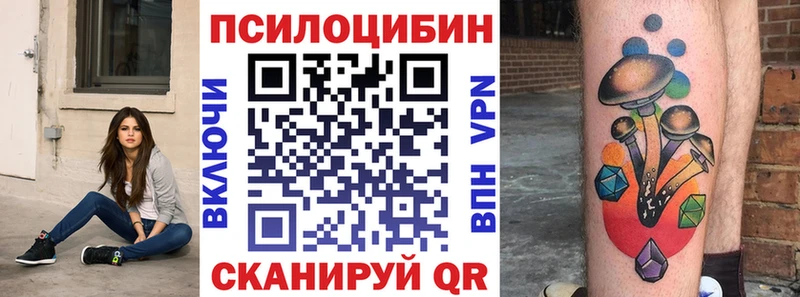 МЕГА   shop клад  Псилоцибиновые грибы GOLDEN TEACHER  Черемхово 
